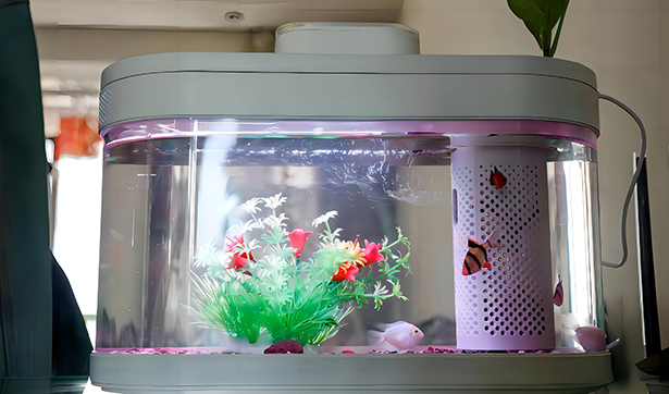 Intelligent Fish Tank